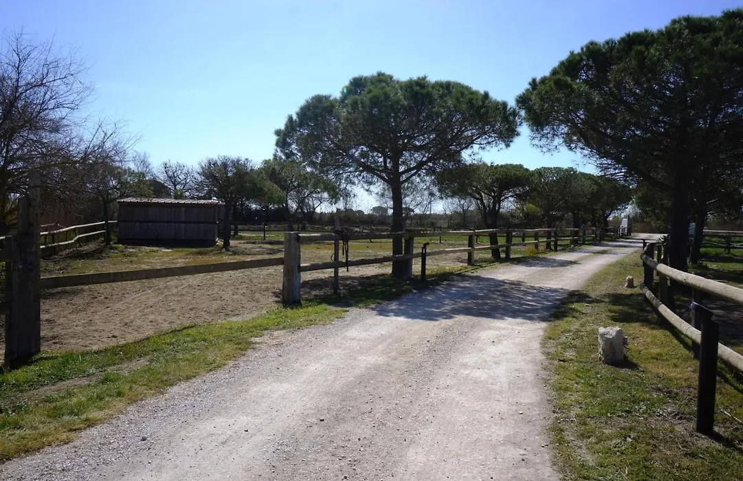 Gîtes Equestres Lou Caloun - Les Saintes Maries de la Mer-1